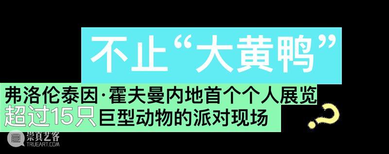 新展预告 | 风靡全球的“大黄鸭”携动物天团“欢聚”北京！  今日美术馆 崇真艺客
